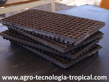 las bandejas se colocan apiladas de tal forma que los huecos no coincidan uno sobre el otro